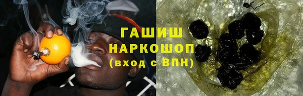 СК Новодвинск