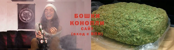 PSILOCYBIN Новокубанск