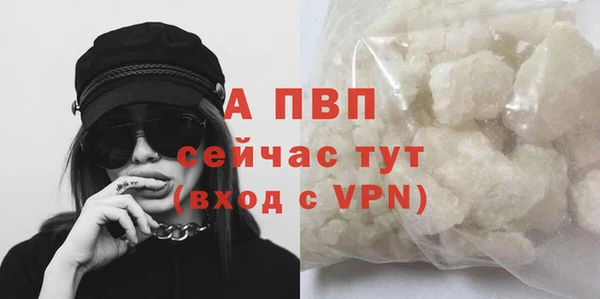 PSILOCYBIN Новокубанск