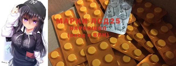 PSILOCYBIN Новокубанск