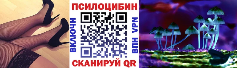 Псилоцибиновые грибы Psilocybe  кракен рабочий сайт  Кирс 