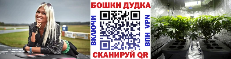 МАРИХУАНА ГИДРОПОН Кирс